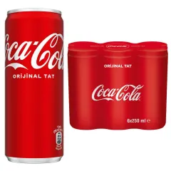 Coca-Cola Kutu 250 ml 6'lı